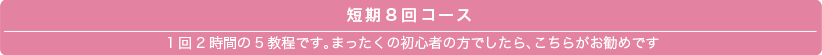 短期8回コース1回2時間の5教程です。まったくの初心者の方でしたら、こちらがお勧めです